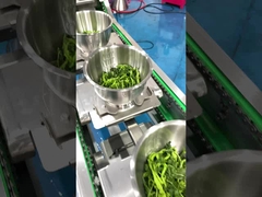 Machine d'emballage de légumes sauvages en acier inoxydable de qualité alimentaire