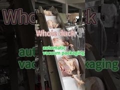 Machine d'emballage de viande et d'aliments surgelés en acier inoxydable de qualité alimentaire 304/316